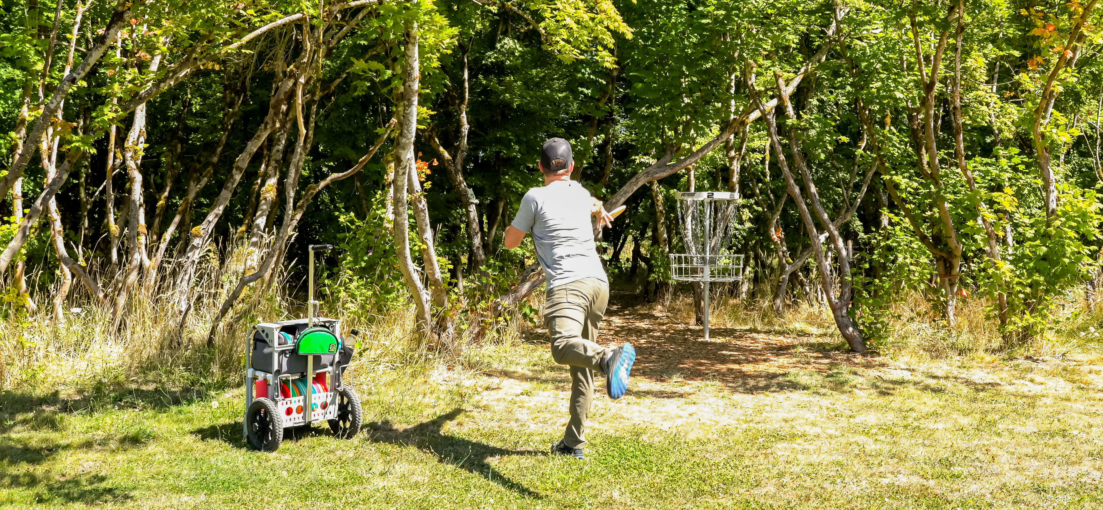 Disc Raptor